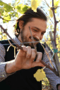 Marco Cecchini
