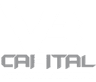 V8 Capital