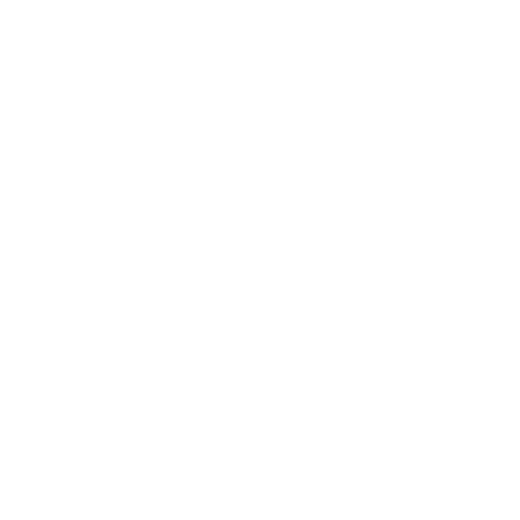 Dasticos logo