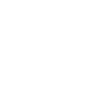 Energy Vision logo