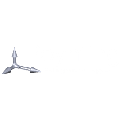 fibrePOYNT logo
