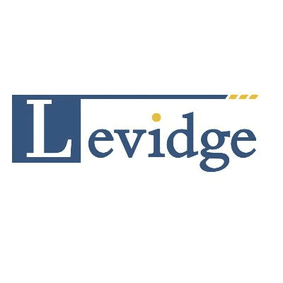 Levidge logo