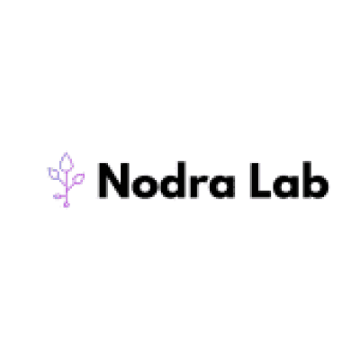 Nodra Lab logo