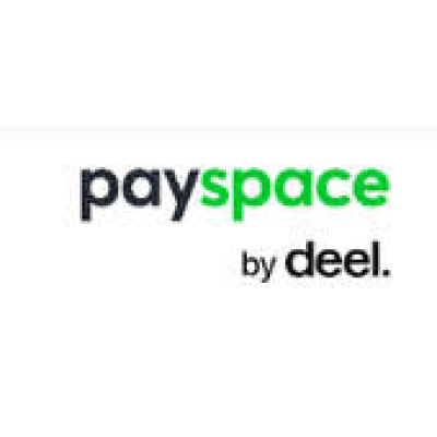 PaySpace logo