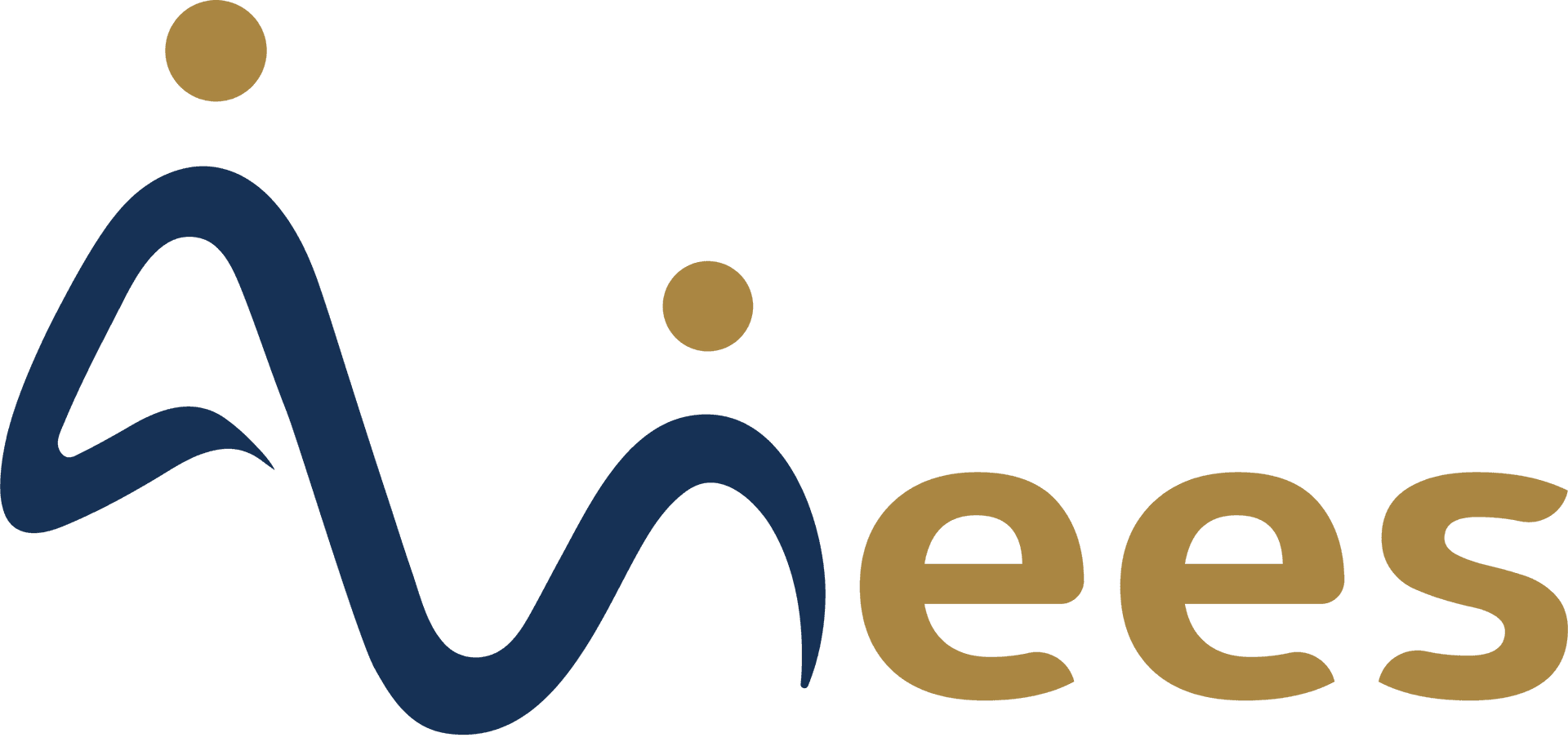 Anees Health logo