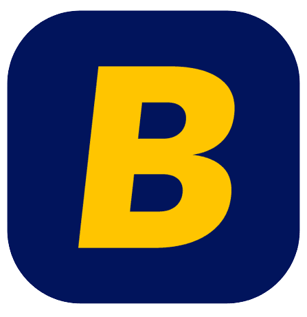 Betpaddi logo