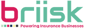 Briisk logo