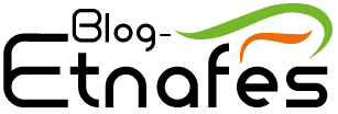 Etnafes logo