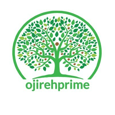 Ojirehprime Financial Services logo