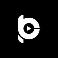 The Promo Boy logo